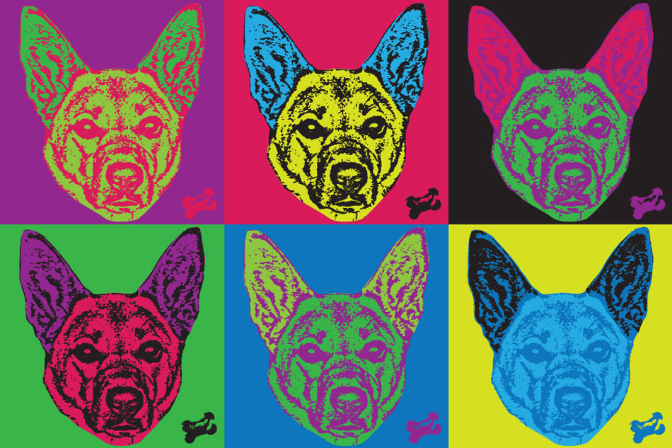 Hello, I’m Brandy!